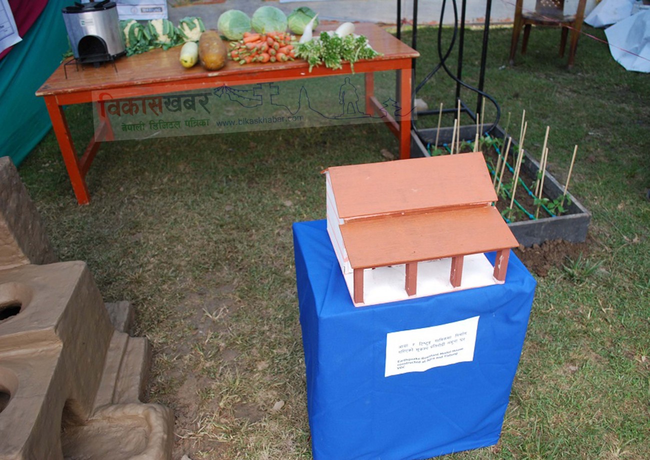 House-1474423703.jpg
