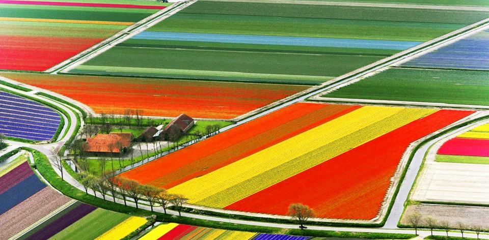 color-1477531088.jpg