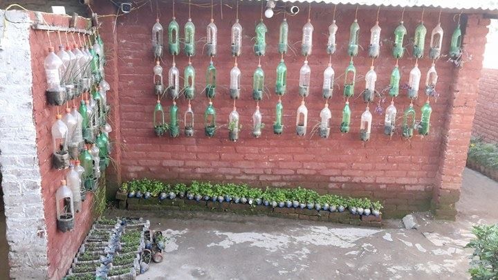 garden-pic-1501398889.jpg