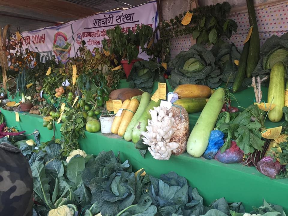 krishi-1540782138.jpg