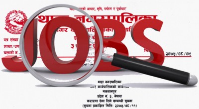 Jobsssssss-1543301495.jpg