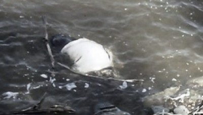 death22-1560678966.jpg