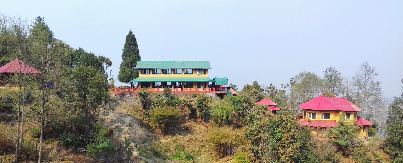 Panorama55-1580180254.png