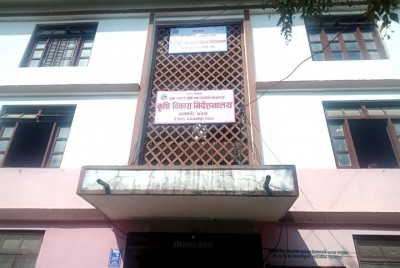 ambika-1583907990.jpg