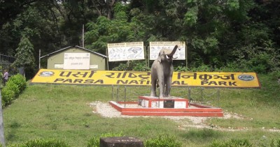 Prsa-1585324531.jpg