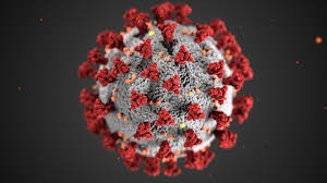 c-virous-1590568813.jpg