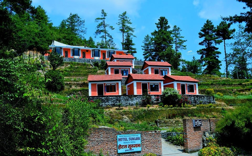 Sungava-1592845816.jpg