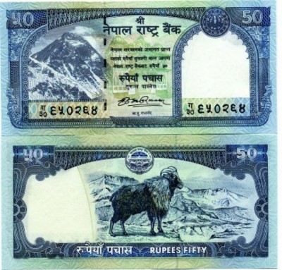 50-1594026040.jpg