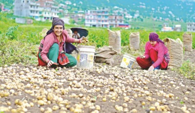 Gorkhapatra-1594697716.jpg
