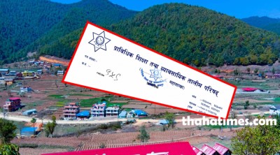 tHAHA-1594782995.jpg