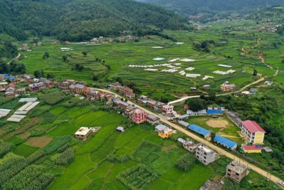 Taukhel-1598712786.jpg