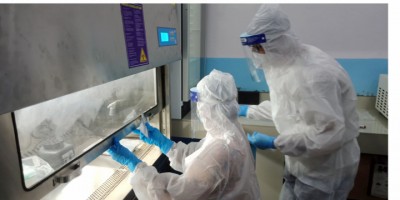 lab-1598855460.jpg