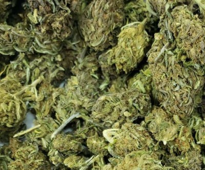 ganja-1599980217.jpg