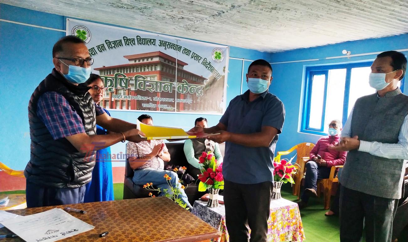 AFU-Palung-1601391141.jpg