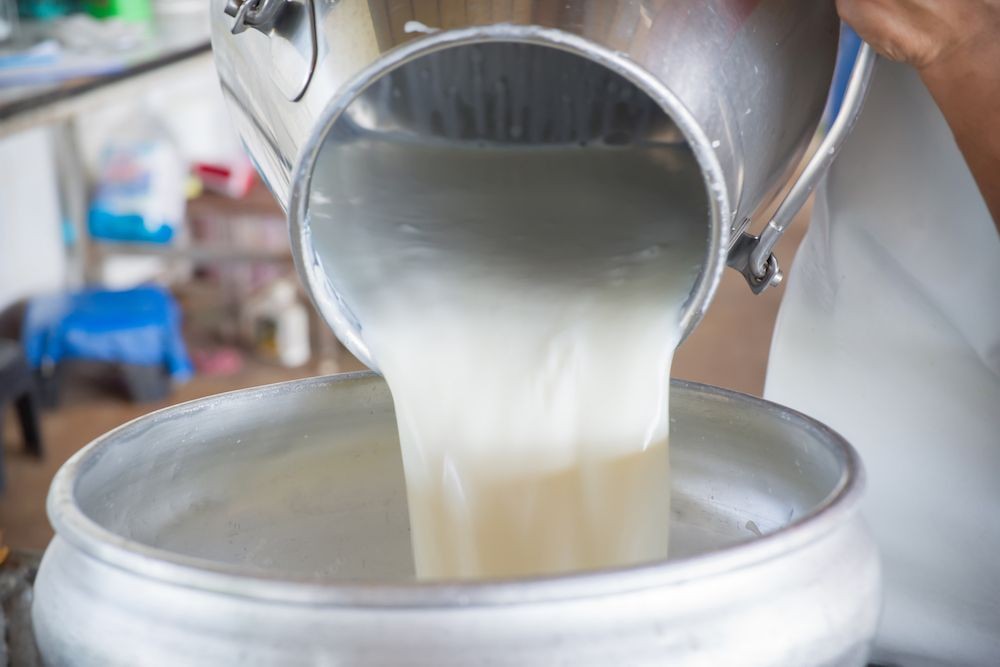 milk-1601464329.jpg