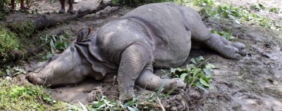 death-gainda-1603094734.jpg