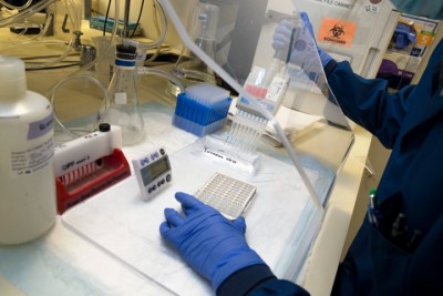 lab-1603257774.jpg