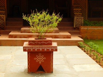 tulasi-1606368574.jpg