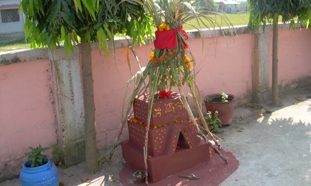 tulsi-1606374873.jpg