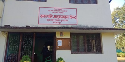 banaspati-1606541232.jpg
