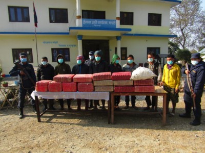 pakrau-ganja-1610094675.jpg