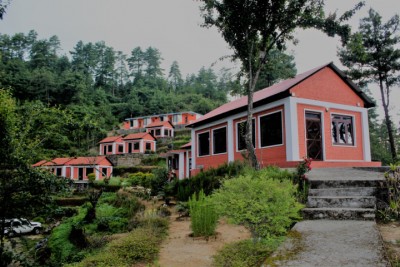sungava-1611498802.jpg