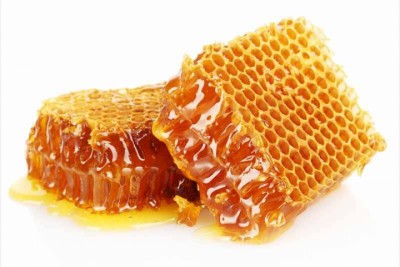 honey-bee-1613810407.jpg