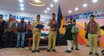 scout-photo-dixanta-1656327647.jpg