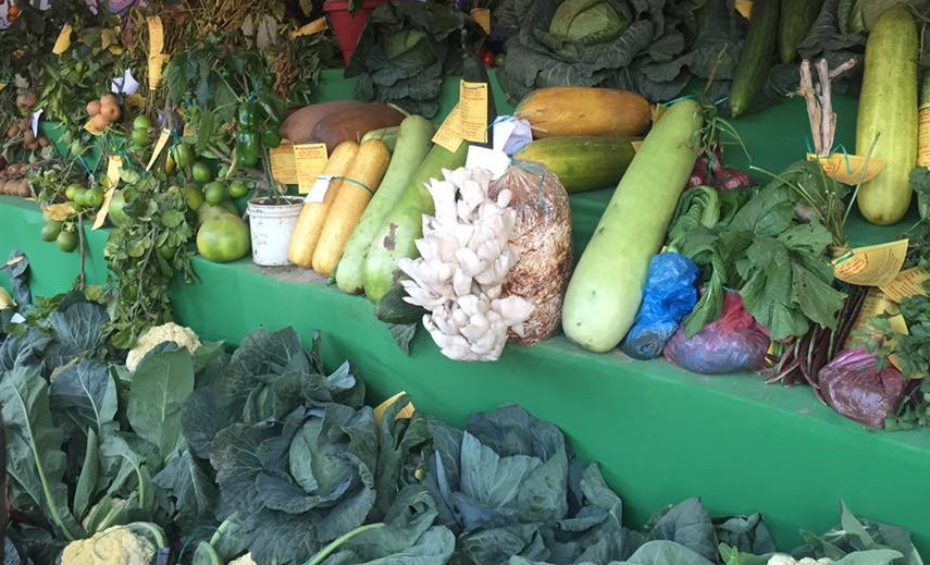 krishi-1540782138-1701240300.jpg