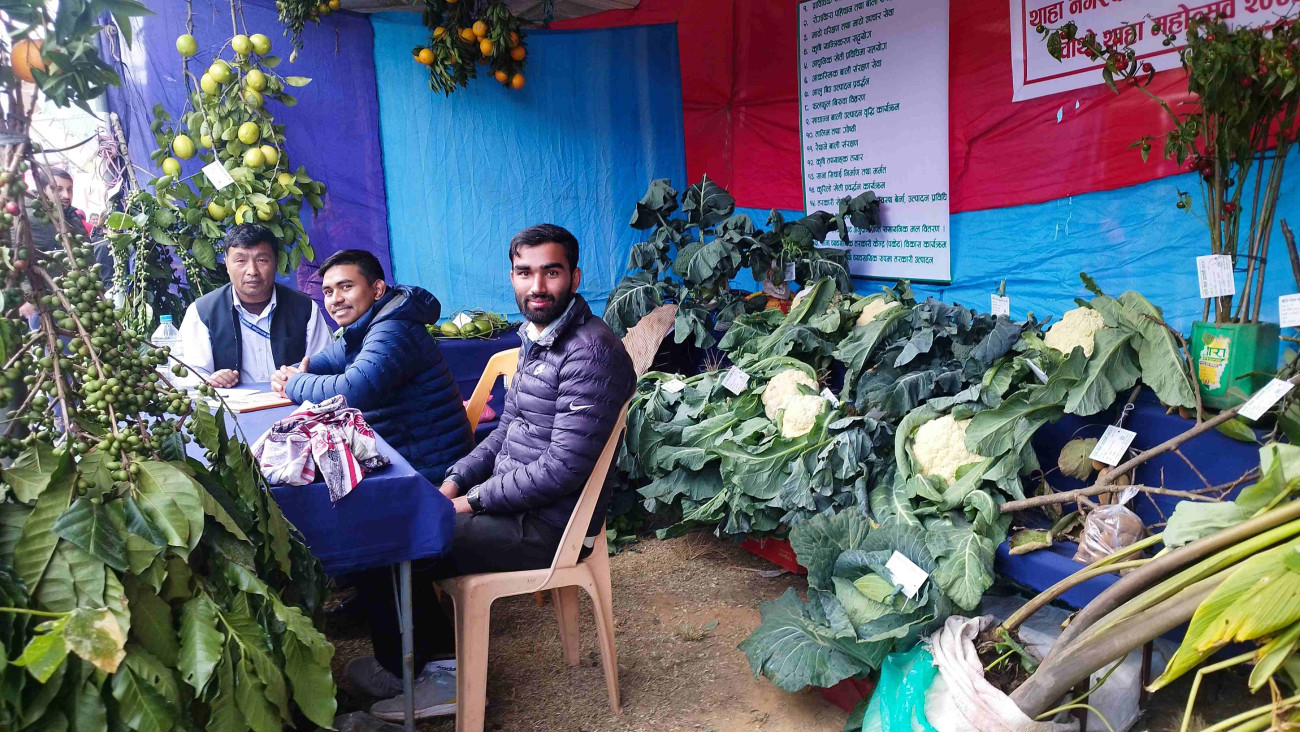 krishi-photo-1701350286.jpg