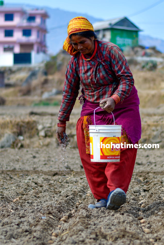फोटोः गणेश विष्ट/थाहा टाइम्स