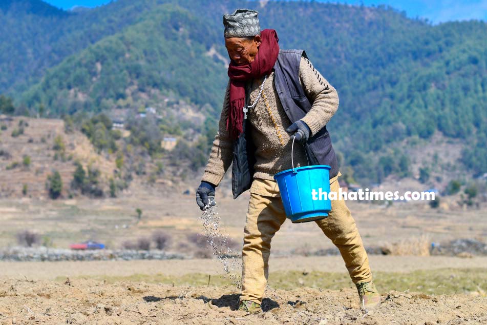 फोटोः गणेश विष्ट/थाहा टाइम्स
